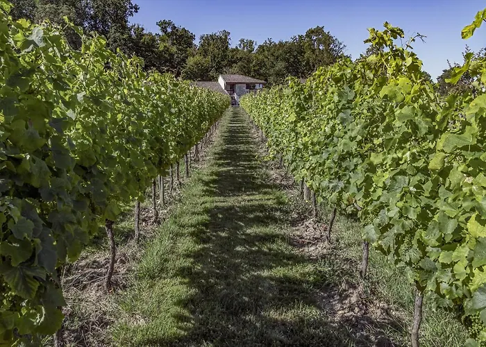 La Dordogne En Perigord Salagnac